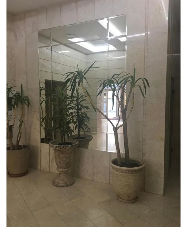 Апартаменты Arcadia Ibiza beach Одесса